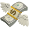 money-with-wings_1f4b8 money-with-wings_1f4b8